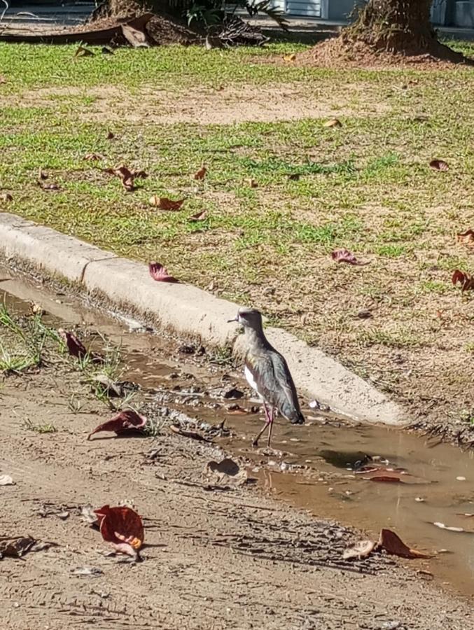 Pousada 5 Cachoeiras Ubatuba Zewnętrze zdjęcie