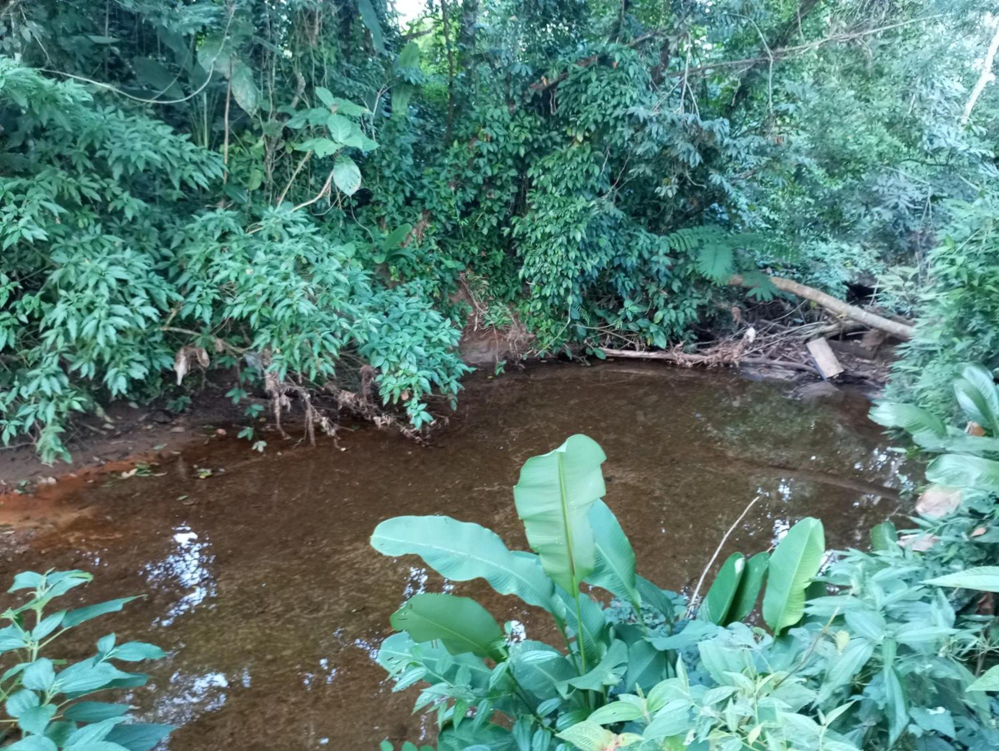 Pousada 5 Cachoeiras Ubatuba Zewnętrze zdjęcie